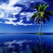 Сейшельские острова: 