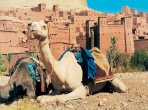 Марокко: 