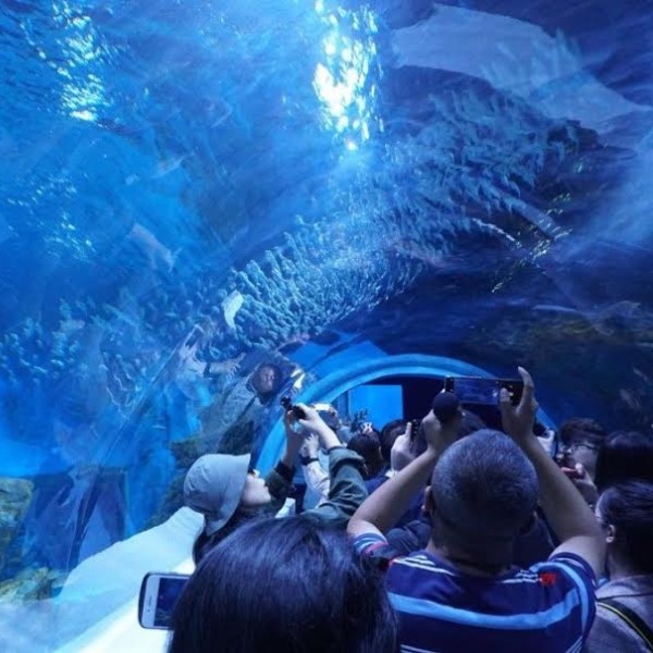 Китайский высокогорный аквариум заработал в тестовом режиме