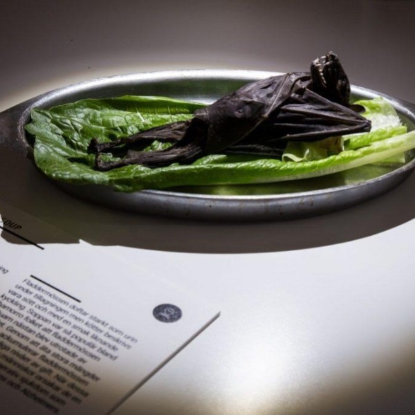 Выставка «отвратительной еды» превратится в «странствующий» музей