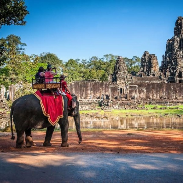 В Ангкоре планируют прекратить использование слонов для перевозки туристов
