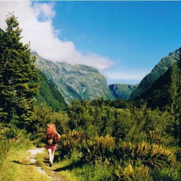 Трек Папарао стал десятым для поклонников пешего туризма в Новой Зеландии