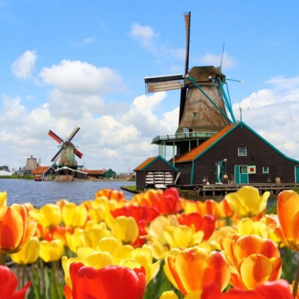 Нидерланды официально отказались от никнейма «Голландия»