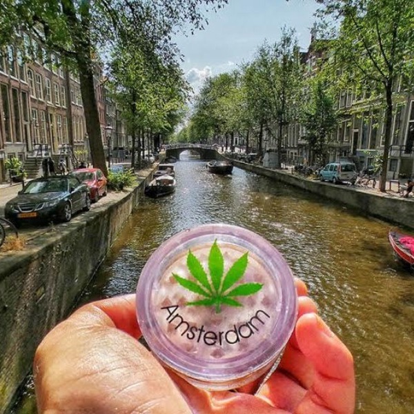 Столица Нидерландов начинает борьбу с наркотиками